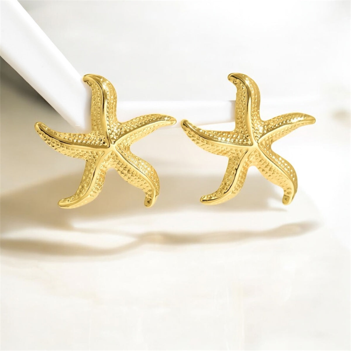 Estrella de mar pegadas