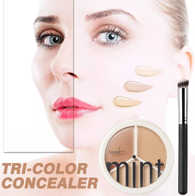 Pequeña Paleta de Corrector